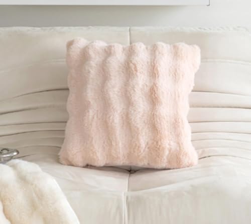 ChoyClit 2ピースの豪華なクッションカバーセット、マイクロファイバーのジッパー付き枕カバーと枕の中身、かわいい、秋冬に最適、暖かい、厚手、ふわふわ、着脱簡単、柔らかい、洗える、防寒、ふわふわ、吸湿発散性、発熱性、お昼寝に最適 (45*45cm枕カバ