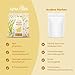Alpha Foods Vegan Protein Pulver, 1200g, 22g Proteingehalt pro Portion, Vanille Geschmack, 40 Shake Portionen, pflanzliches Proteinpulver, optimales Aminosäurenprofil