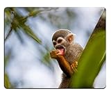 Abmessungen: 9,8 x 11,8 Zoll, 25 x 30 x 0,3 cm, rutschfeste Gummirückseite.