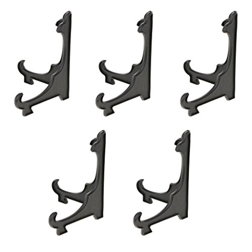 5{̃vX`bN܂肽݃v[gfBXvCC[[X^hʐ^z_[bN10cm