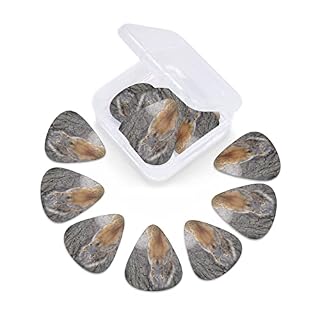 Squirrel Lot de 12 médiators pour guitare basse électrique acoustique - Les Beatles, Paul McCartney, John Lennon, RIngo Starr, George Harrison Squirrel Lot de 12 médiators pour guitare basse électrique acoustique – Image 6