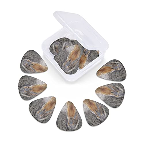 Squirrel Lot de 12 médiators pour guitare basse électrique acoustique - Les Beatles, Paul McCartney, John Lennon, RIngo Starr, George Harrison Squirrel Lot de 12 médiators pour guitare basse électrique acoustique – Image 7