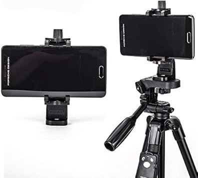 Rastrelliere per il montaggio del tronco dell'ego