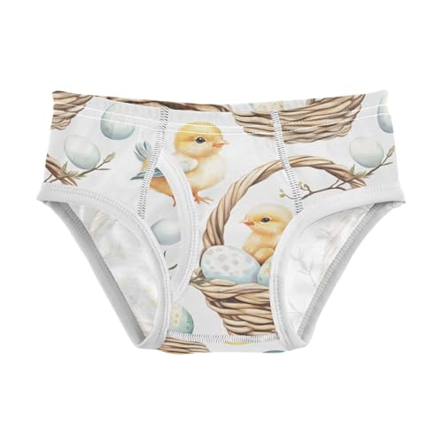 Easter Chicks Egg Toddler Boy's Underwear 2T 202b9032
