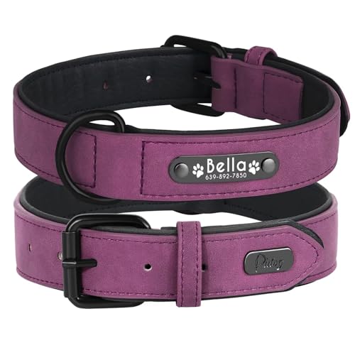 Didog - Collar de Piel Suave Acolchada Personalizable para Perro, Chapa de Nombre, Anilla en D, Collar Grabado para Perro, tamaños pequeño, Mediano y Grande
