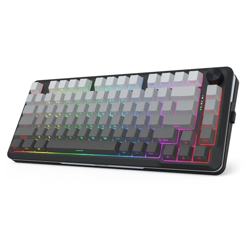 Redragon K681SP ���C�����X���J�j�J���L�[�{�[�h �K�X�P�b�g�}�E���gRGB�Q�[�~���O�L�[�{�[�h �{�����[���m�u�t�� �T�C�h�v�����g�L�[�L���b�v �v�����[�r���O���j�A�X�C�b�` 81�L�[ 75%�g���C���[�h �z�b�g�X���b�v�\ PC/Xbox/P