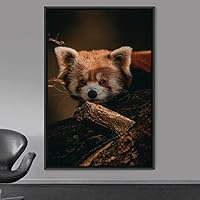 Framed Canvas Wall Art Red Panda Animals Expressive Koala Living Room Multicolor Photography Tropical - 16x24 inches