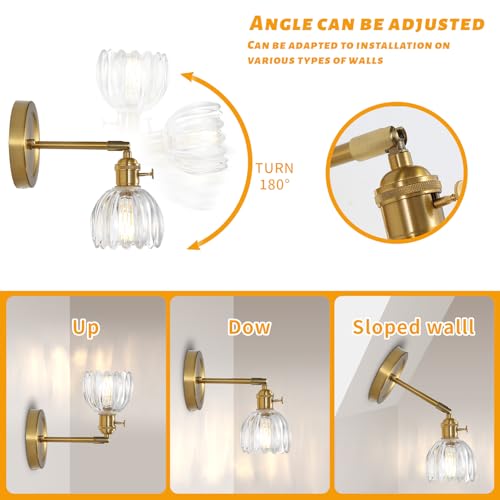 Image of 5 inch Tulip Glass Wall Sconces 180 Degree Adjustable Brass Wall Light Hradwired Modern Wall Lighting Fixture with Switch for Bedside Bedroom Doorway Reading Nook