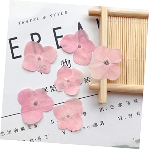 30 pcs Materiales para DIY Flores Presionadas Reales miniatura 2