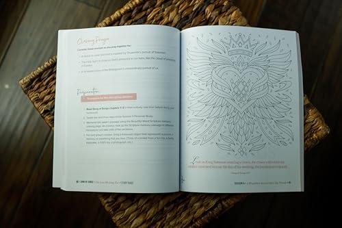 Image of Song of Songs Bible Study Guide plus Streaming Video: The Love We Long For (Beautiful Word Bible Studies)