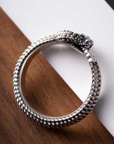 COPPERTIST.WU Ouroboros Ring 925 Sterling Silver Snake Rings Zirconia Serpent Gothic Jewelry Retro Animal Fashion Personality Gift for Women Men3