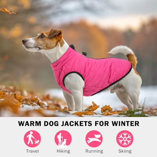 Image of SCENEREAL Dog Winter Coat for Small & Medium Dogs | Warm Dog Jacket with Built-in Harness, Waterproof Cold Weather Coat with Zipper, Fleece Puffer Vest Windproof Snow Clothes