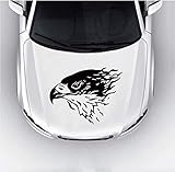 Kann auf jeder glatten Oberfläche montiert werden.