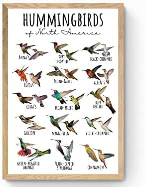 How to tell wild animals mcq How to tell wild animals mcq