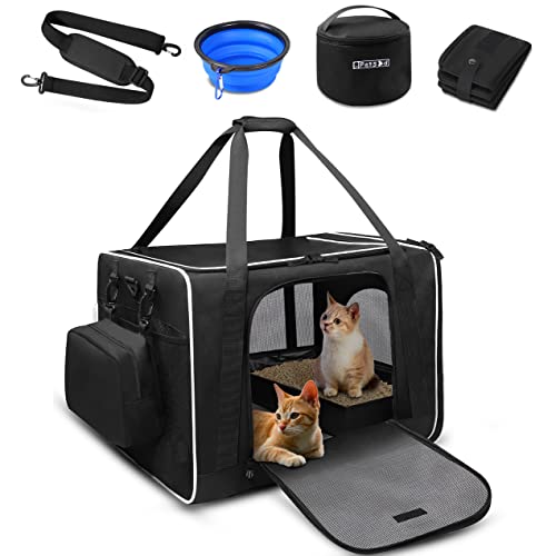Top 10 Best Cat Car Carriers for a Comfortable and Safe Travel with Your Feline Friend Furry Folly