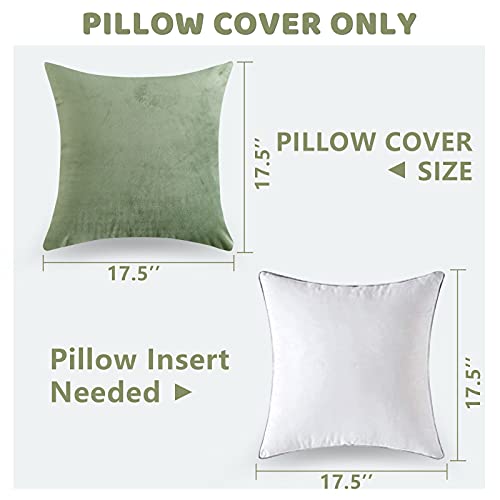 Lazzzy Velvet Throw Pillow Cover Decorative Pillowcase For Couch Bed Sofa Chair Soft Solid Square Sage Cushion Case Green 18 X 18 One Piece #TOP6