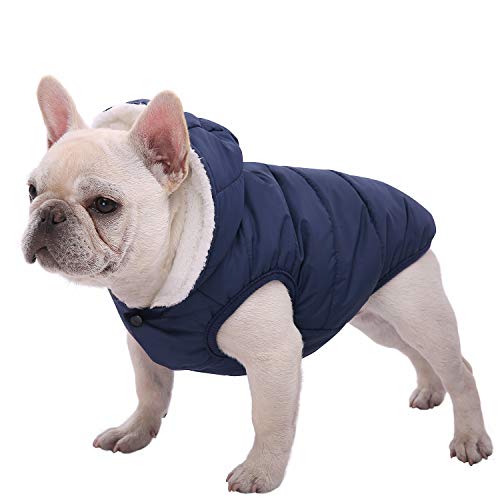 Dog Fleece Hoodie, Windproof Waterproof Dog Coat, Fleece & Cotton Lined Warm Dog Jacket, Cold Weather Pet Apparel Clothes Vest for Small Medium Large Dog Breeds (XXL, Blue)