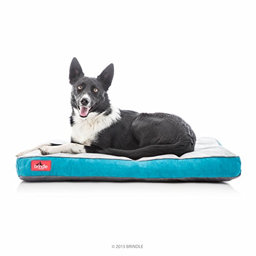 Brindle Soft Shredded Memory Foam Dog Bed