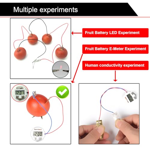 EUDAX Fruit Battery Science Experiment Kit with Electronic Clock and RGB LED for DIY Home Teaching Equipment, School Science Project, Education Subject