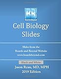 Boards and Beyond Cell Biology Slides (Boards and Beyond Black and White Slides)