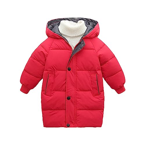 Toddler Kids Girls Boys Down Coat Autumn Winter Long Sleeve Thick Solid Color Zipper Hooded Jacket For 1 To 8
