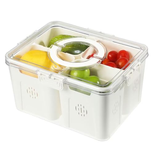 Divided Serving Tray with Lid and Handle, 4 Compartments Fruit Storage Containers, Food Storage Containers for Fruit, Vegetable, Entertaining, Party, Picnic