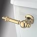 Kingston Brass KTTL2 Templeton Front Mount Toilet Tank Lever, Left/Right Installation in Polished Brass