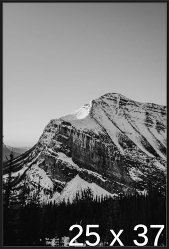 Frame It Easy 25 x 37 Satin Black Metal Frame (Ashford)