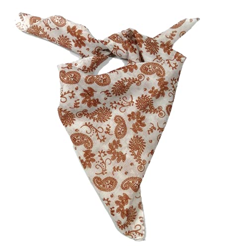 Shanlin Unisex Cotton Bandanas 22"X22" (Paisley-White) #TOP2