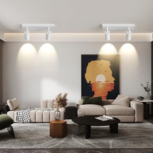 Image of Spotlight Indoor Ceiling LED Light,2 Lights 40W Modern Spot Light Fixtures 4000K White Accent 300Adjustable Picture Painting For Living Room Bedroom Hallway Gallery Flush Mount Directional Lighting