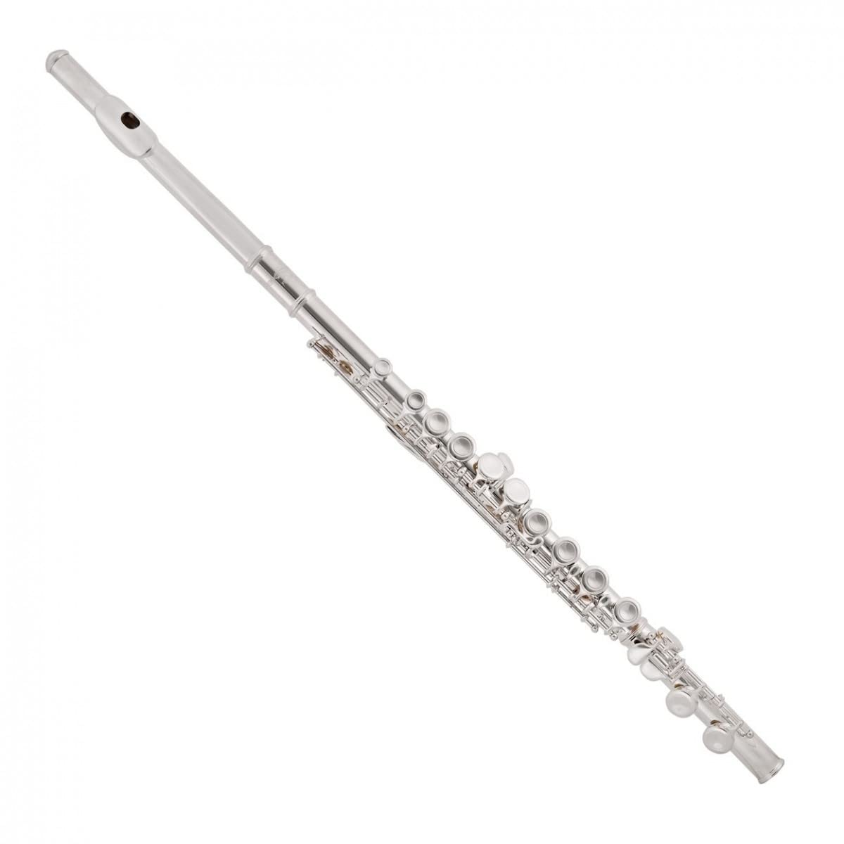 Gear4music Flauta con estuche - Instrumento musical para principiantes