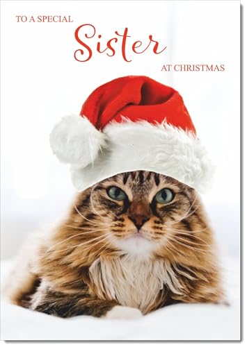 doodlecards Sister Christmas Card Cat with Santa Hat Medium Size Christmas Card for Sister with Plain Envelope