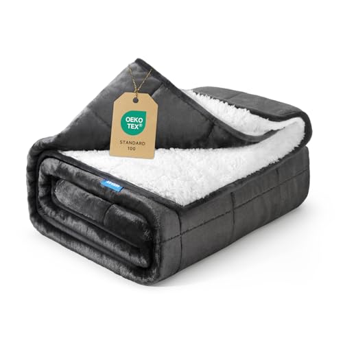 Weighted Blanket 15 lbs 60x80 inches, Sherpa Fleece Throw Blanket for Adult, Fuzzy Fluffy Soft Cozy...