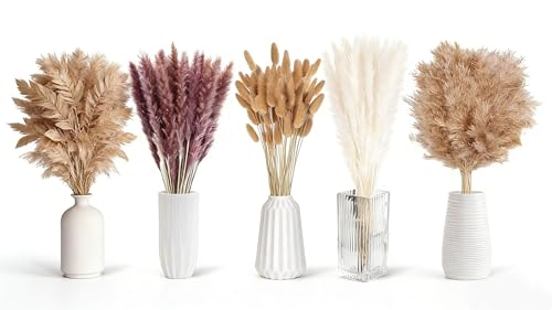 Hojas secas marca HONGHCL