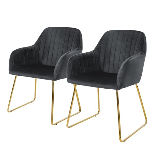 ML-Design Juego de 2x Sillas de Comedor Color Gris Asiento Ergonómico Acolchado Tapizado de Terciopelo, Patas de Metal Dorado Sillón de Diseño Moderno para Mesa de Salón Escritorio Dormitorio o Cocina