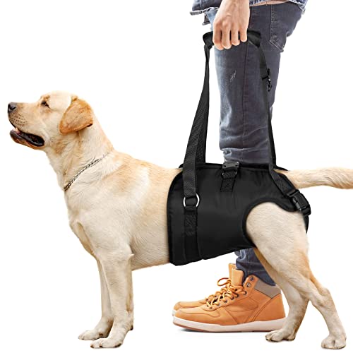 AMAZON - Chalklit Dog Sling for Large Dogs Hind Leg, Dog Lift Harness for Rear Legs Support to Help Rehabilitate The Hind Limbs of Elderly Dogs with Weak Hind Legs Disabilities and Injuries Help for Arthritis