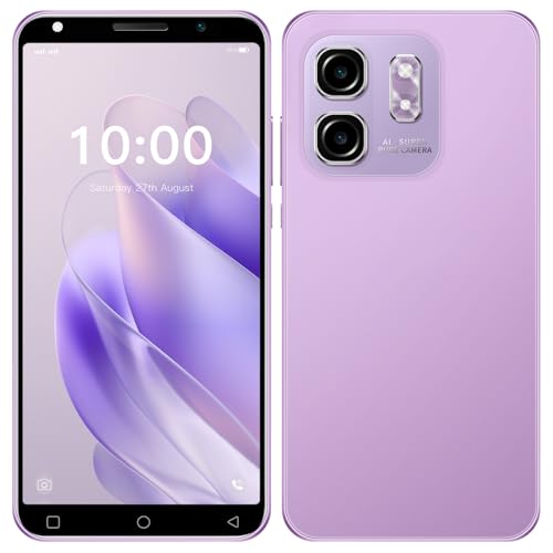 PrzTIk Pequeña copia de seguridad pequeña Bluetooth, cámara Daul, compatible con WiFi, tipo C-USB (morado)