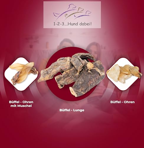 123...Hund dabei! - Büffel-Lunge 3kg, Rinderlunge XXL-Pack, fettarm, getrocknetes Rindfleisch, schonend getrocknet, Kauartikel vom Rind (Rinderlunge)