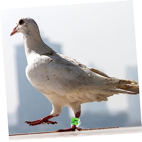 BUGUUYO 100 Pçs Tornozeleira De Pombo Aves Marca De Distinção De Identificação De Pombo Bandas 2023