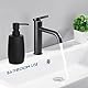 Moderne Seifenspender Schwarz Plastik Seifenspender Bad, Nachfüllbarer Spülmittelspender Küche für Badezimmer Arbeitsplatte, Soap Dispenser mit Pumpspender (Schwarz Glattes)