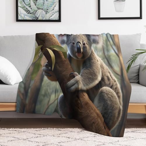Couverture flannel douce koala pour lit et canapé cocooning - 3