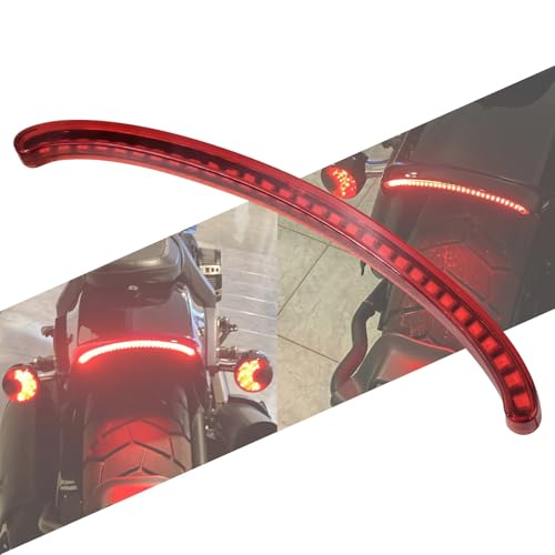 Feu arrière de moto LED résistant aux vibrations pour éliminer les pannes de Softail - 2
