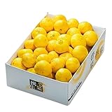 みかん はるか 産地厳選 風のいたずら 訳あり 大きさおまかせ 5kg 柑橘 ミカン