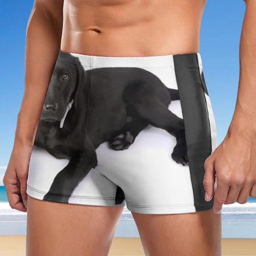 Maillot de bain imprimé Labrador noir stretch pour homme actif