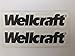 2 adesivi per barche Wellcraft