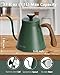 Harriet Gooseneck Kettle with Thermometer for Pour Over Coffee and Tea, 37 fl oz, Stainless Steel, Durable 3-Layer Base, Ideal Spout for Precision Pouring, Compatible with all Stove Tops, Green