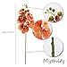 Mythlty 5 Artificial Orange Orchid Flower 18 Inches Real Touch Faux Phalaenopsis Stems Fake Orchid Flowers Arrangement for Wedding Bridal Bouquets and Home Office Indoor Decorations (Orange)