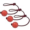 Wurfball Hund | Ball mit Schnur Hund | 3 Stück Elastische Hundespielzeug Ball mit Seil | Naturgummiball Seil | Welpenspielzeug Hund | Kleine Hunde Spielzeug | Spielzeug für Kleine Hunde