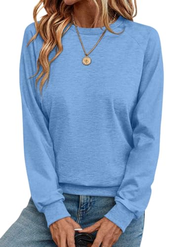 Syellowafter Womens Long Sleeve Shirts Crewneck Fall Tops Casual Loose Fit Basic Pullover Top Blue