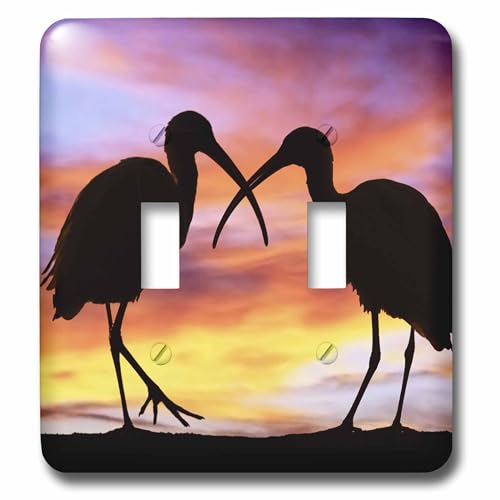 Interrupteur à bascule double motif Ibis de Floride multicolore